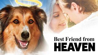 Best Friend From Heaven