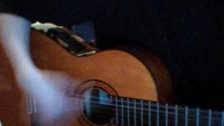 Die Braut und der Bräutigam