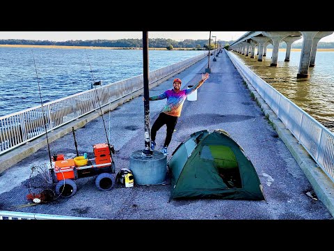 2 Days Stealth Camping on a Public Pier!! (Eat only what I catch)
