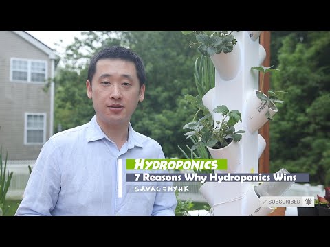 7 Reasons Why Hydroponics Always Win