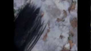 Keaton Henson - Party Song [HD]