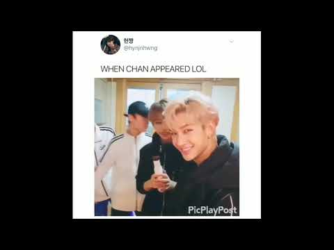 K-pop vines to add some pizazz to your day (mostly stray kids, BTS, NCT, and ateez