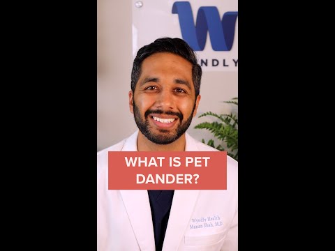 What Is Pet Dander?