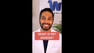 What Is Pet Dander?
