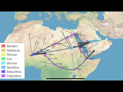Ancient Bronze Age E1B1A Clade found in Arabia (E-L651)