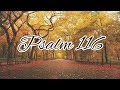 Psalm 116 - NLT Audiovisual