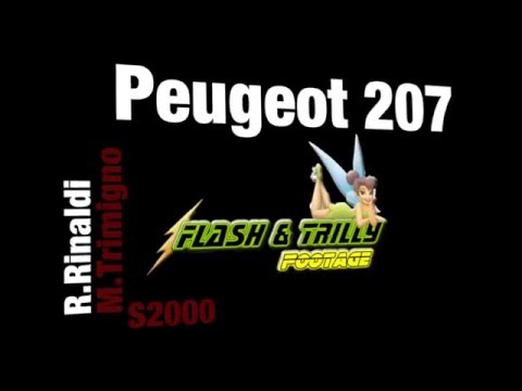 Camera Car R.Rinaldi M.Trimigno 1° Motor Rally Show Pavia 2016 P.S. 5 Ivan Capelli Peugeot 207 S2000