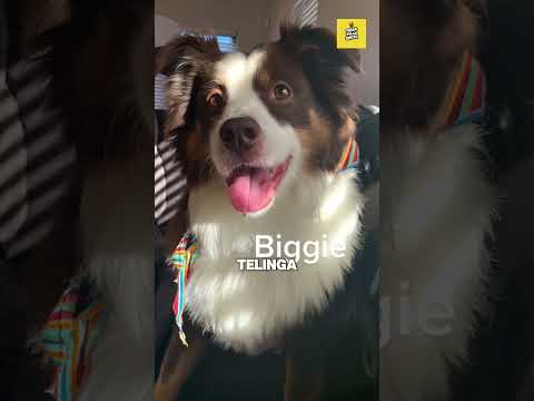 DATANG UNTUK YANG TERKAHIR KALI