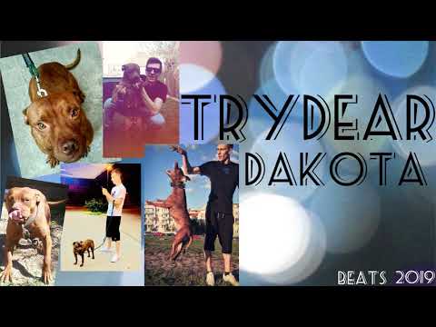 TRYDEAR BEATS - DAKOTA