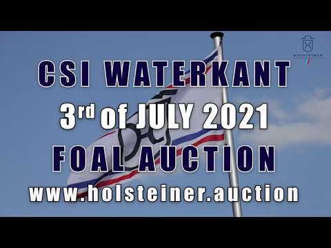 TRAILER: Holsteiner Fohlenauktion beim CSI Hof Waterkant