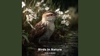 Download lagu Authentic Birds in Nature with Ambient Forest Sounds, Pt.5 mp3