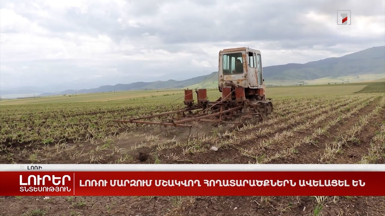 Լոռու մարզում մշակվող հողատարածքներն ավելացել են