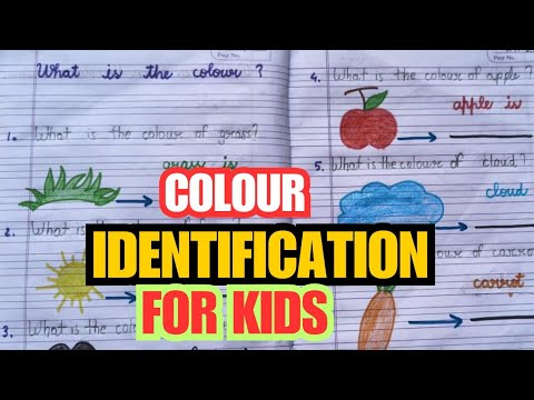 Colour Recognition Worksheet