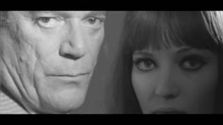 Don't leave me here (videoclip) - The Brian Jonestown Massacre