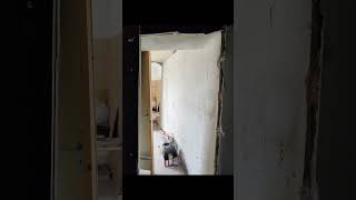 Miniature de la vidéo