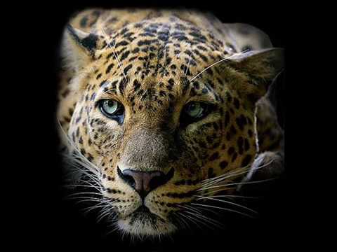 MULHERES  DE CASCAVEL..