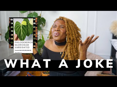 $10,000,000 Plant Auction | NSE Tropicals & Kaylee Ellen vs Trolls