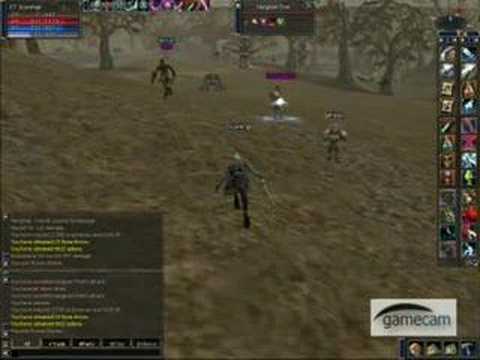 Lineage 2 Execution Grounds pwnage