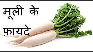 मूली के फ़ायदे, Health Benefits of Radish in Hindi, Radish for weight loss