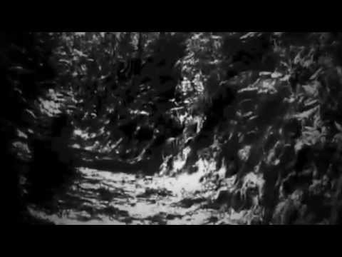 FUNUNCAN - Tina Vieri (Hedningarna)