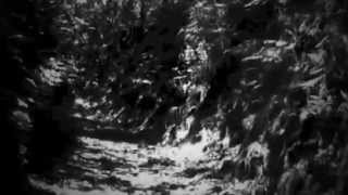 FUNUNCAN - Tina Vieri (Hedningarna)