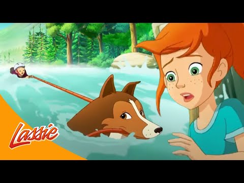 🐶 Lassie's Forest Hiking Adventure and more Cartoons for Kids | Lassie Episode Compilation​
