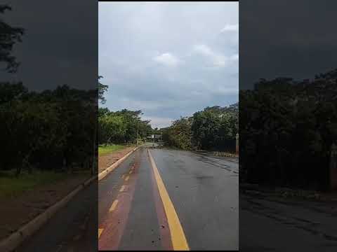 Ventos muito fortes derrubaram árvores e postes em Jaboticabal a 341 km de São Paulo - SP. #temporal