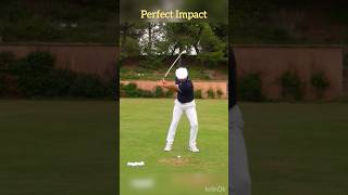 Hogan’s drill for Perfect Impact! #golf #golfswing #miracleswing