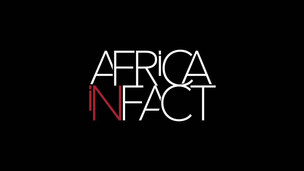 AIF Cabo Delgado Conflict Explainer