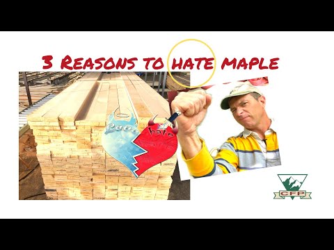 Maple - Guitar Neckwood I love to hate