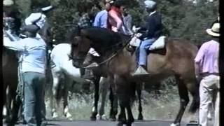 preview picture of video 'Campofrío - Romería de Las Ventas 2002 (1ª Parte)'