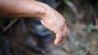 Profissão Madeireiro — trabalho escravo na destruição da Amazônia