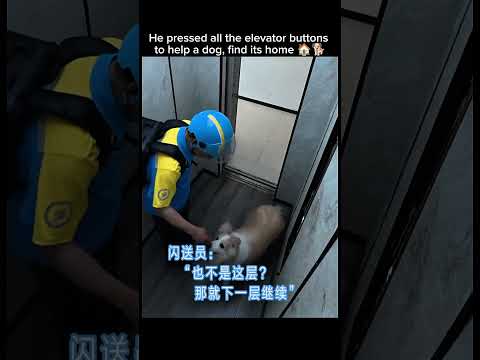 He pressed all the elevator buttons to help a dog, find its home 🏠🐶