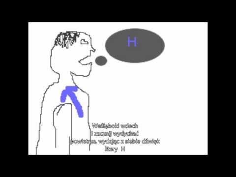 Samouczki wideo, jak budować mięśni w domu Kulturystyka co 2 dni