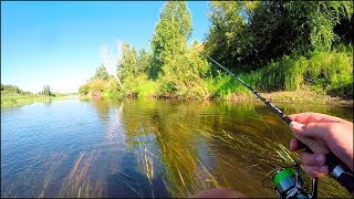 Рыбалка елец сибирский снасти наживки ловля антракты