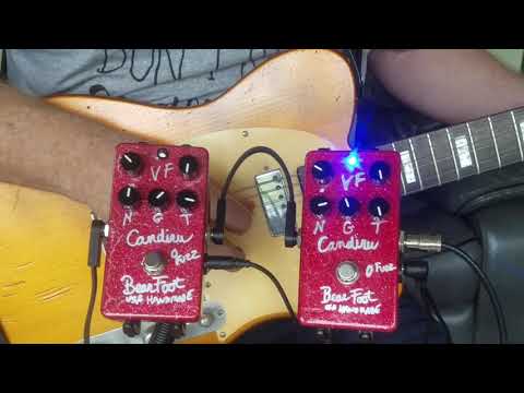 Bearfoot FX Candiru Fuzz 5 Knob image 6