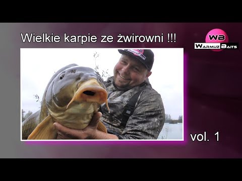 Wielkie karpie ze żwirowni - vol.1