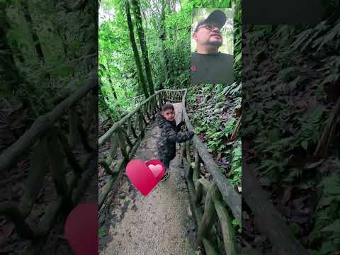 Catarata del Río Celeste, En Bijagua Alajuela