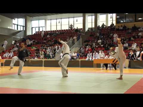 Hapkido (Daehan Minguk) European Championships 2013 - Team Austria