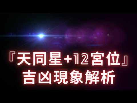 紫微斗數 宮位