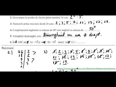 Clasa a VI-a - Teste recapitulative - ex 9
