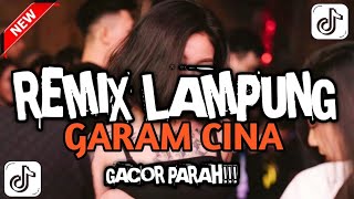 Download lagu REMIX LAMPUNG GARAM CINA YANG LAGI VIRAL TIKTOK TERBARU 2025 🔥 mp3
