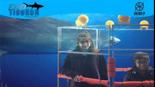 DIA 2 Expo Tiburon260