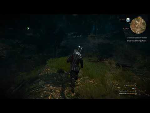 Witchers in the Woods