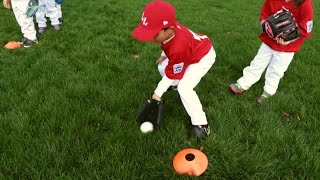 T-Ball Ground Ball Basics