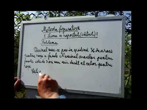 METODA FIGURATIVA SUMA SI RAPORTUL 2