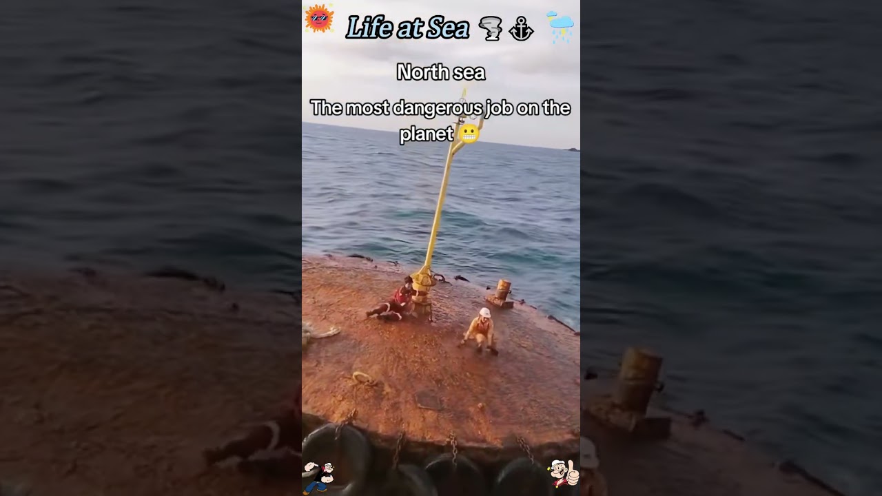 Would you like to experience life as a sailor?#sailor #sea #funny #funnyvideos #funymoments