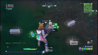 Fortnite_20191222170156