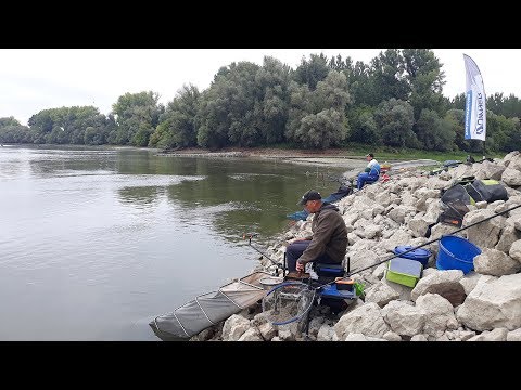 UŽIVO SA VODE - feeder pecanje krupne deverike na Dunavu kod Bezdana