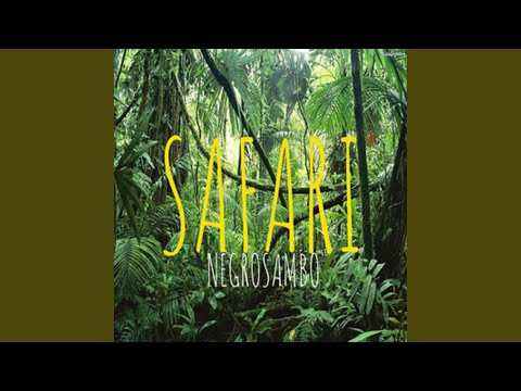 Safari